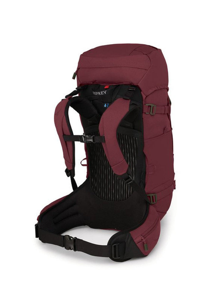 Osprey Archeon Women's 45 Litre backpack mud red back panel - The Climbing Shop