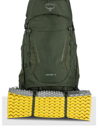 Osprey Kestrel 58 Litre backpack back view - The Climbing Shop