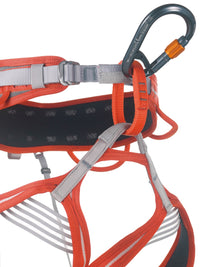 Camp Core Belay Lock Carabiner - displayed on harness - The Climbing Shop