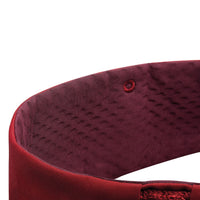 Petzl Adjama climbing, ice climbing and moutaineering harness - closeup of waistband - The Climbing Shop