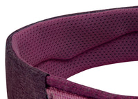 Petzl Luna Harness waist band close-up - The Climbing Shop
