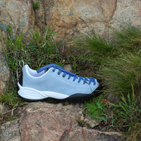 Blue and white sneaker on a rock with grass in the background