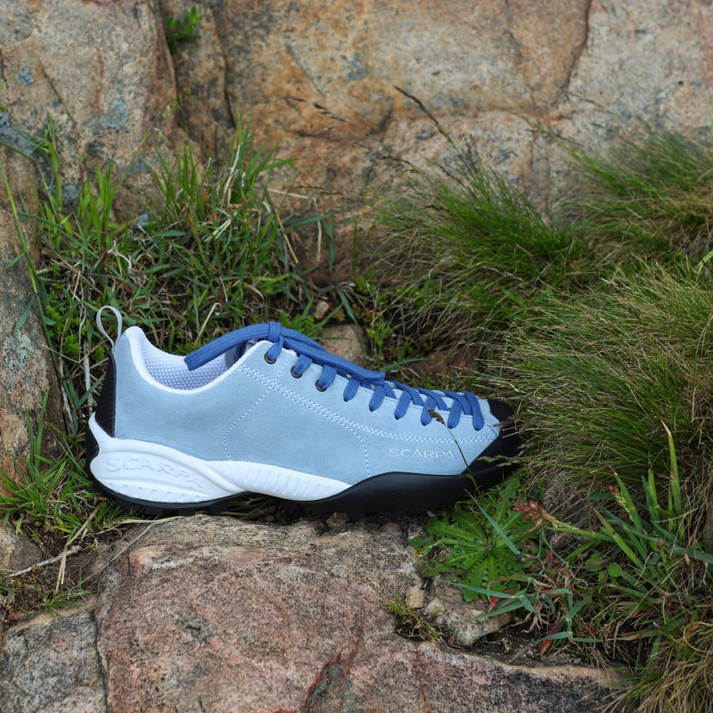 Blue and white sneaker on a rock with grass in the background