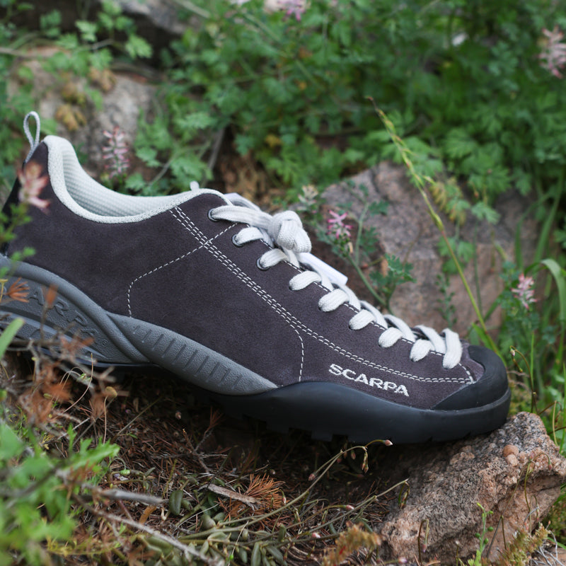 dark approach shoe with white laces on a natural background