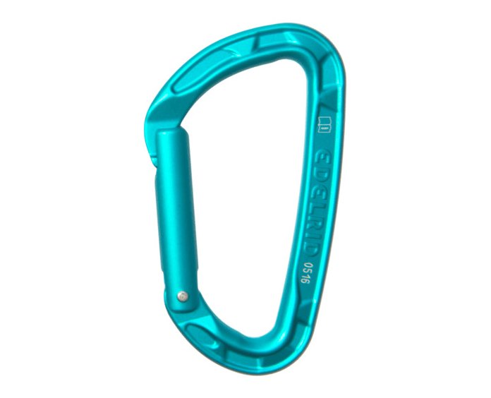 Edelrid Pure Solid Gate - Icemint straight - - The Climbing Shop